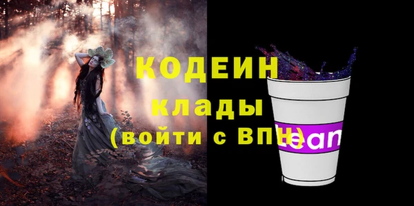индика Белокуриха