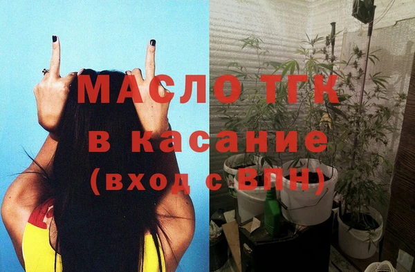 индика Белокуриха