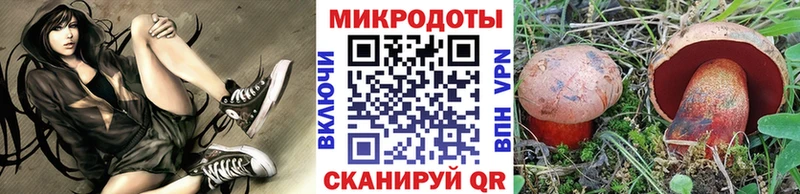 Псилоцибиновые грибы GOLDEN TEACHER  blacksprut ТОР  Будённовск 
